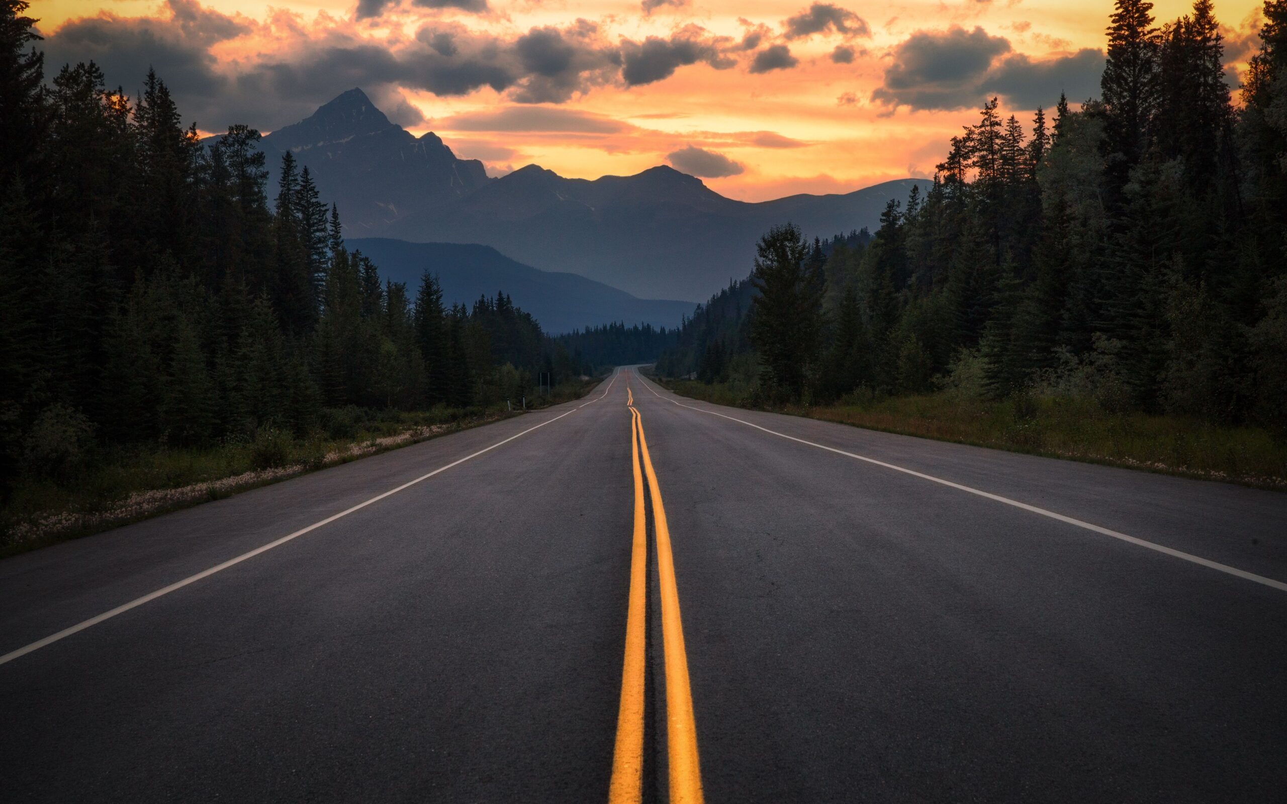 Highway with trees